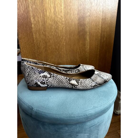 14 & Union Women's Animal Print Pointed Toe Flats | Size 11 - Picture 3 of 5